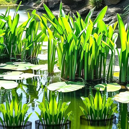 EBaokuup 4 Pcs Aquatic Pond Planting Bags-7" Reusable Mesh Water Garden Pond Plant Pot-Breathable Black Square Lily Plant Pots for Pond Bog Plant Garden Terrestrial Plant - color: Black, size: Square