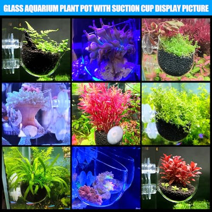 4pcs Glass Aquarium Decor Plant Pot，Crystal Aquatic Plant Pot with Suction Cup, Betta Resting Bed Spot，Aquarium Planter Landscaping Cup with Stones Clip and Tweezers (4pcs Glass Aquarium Plant Pot) - size: 4pcs glass aquarium plant pot