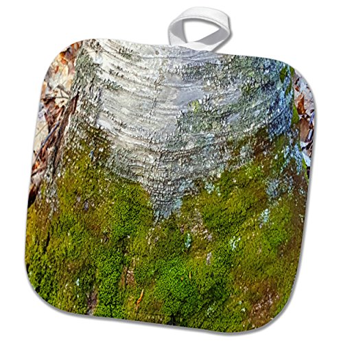 8x8 Potholder - Moss Birch Tree Bark TDSwhite – Photography Nature