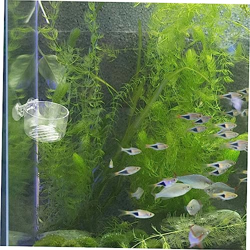 Abaodam Fish Feeder Bowl for Aquarium Feeding Holder with Cup Design for and Fish Easy to Use Feeding Container for Aquatic Pets