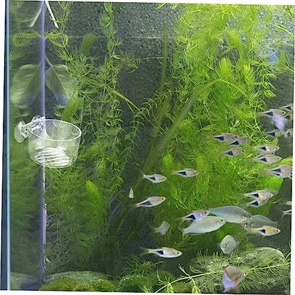 Abaodam Fish Feeder Bowl for Aquarium Feeding Holder with Cup Design for and Fish Easy to Use Feeding Container for Aquatic Pets