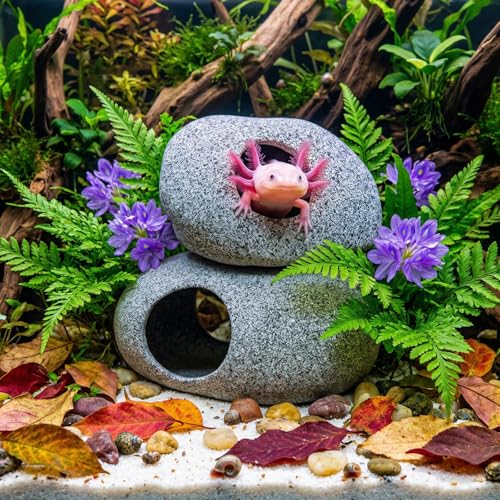 Aquarium Cave Decor - 2 PCS Natural Fish Tank Rocks for Betta Hideout and Shrimp Breeding, Hand-Polished Smooth Edges, PH Neutral, Ideal for 5-20 Gallon Tanks, Aquascaping Stone Ornaments - style: Small+Large-2 PIECES SET