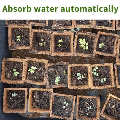 200 Cells Seed Starter Tray, 20 Pack Biodegradable Seed Starter Kit, Peat Pots for Seedlings with 200 Plant Labels, 2 Seed Planting Tool and 1 Spray Bottle
