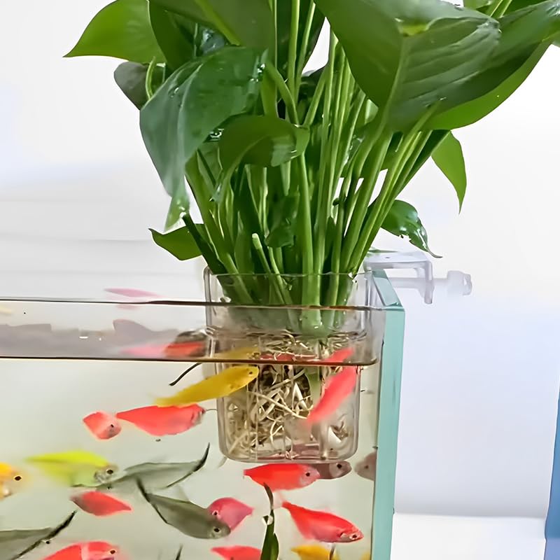 Clear Acrylic Aquarium Plant Holder Hanging Cups for Aquatic Plants Fish Tank