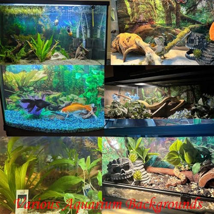 Tranquil Lake Aquarium Background Picturesque Springtime Green Forest Fish Tank Background Stunning Summer Mountain Woodland Terrarium Backgrounds Scenic Lake Blue Sky Reptile Tank Backgrounds 24x12in - color: Warm Green, size: 24(W)x12(H)in