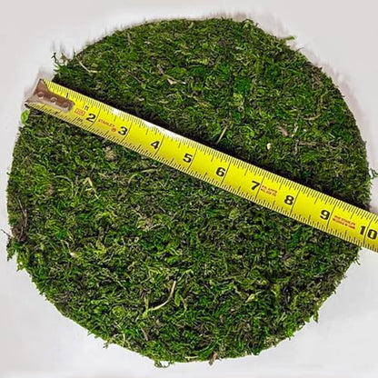 SuperMoss (26310) Moss Soil Toppers (Place Mats), Fresh Green, 10" (3 units) - color: Fresh Green, size: 10" (3 units)