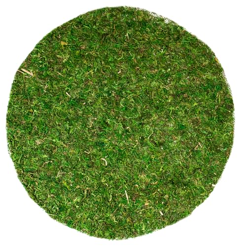 SuperMoss (26330) Moss Soil Toppers (Place Mats), Fresh Green, 18" (3 units) - color: Fresh Green, size: 18" (3 units)
