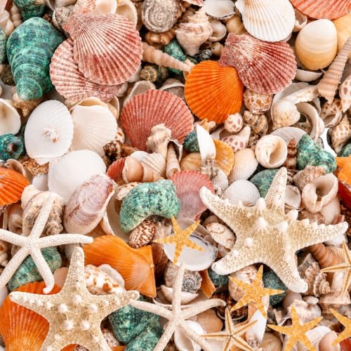 WEOXPR Mixed Seashells & Starfish Decor - 250 Pcs Assorted Sizes Natural Ocean Shells for Fish Tank, Vase Fillers, Beach Theme Party Wedding Decor, DIY Crafts, Candle Making, Home Decorations - color: 26 Oz(about 250pcs)