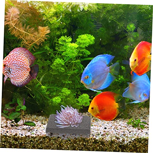 BESPORTBLE 10pcs Ceramic Coral Bases Square Coral Mounts Stand Fish Tank Decorations Stable Lightweight Non Deformable Safe Material and Aquatic Use