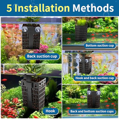 Newly Upgraded Aquarium Plant Holder | Adjustable in Height and Width with Extendable Hook and Suction Cup 4-Pack for Planting Aquatic Plants and Aquariums (Black) - color: Black