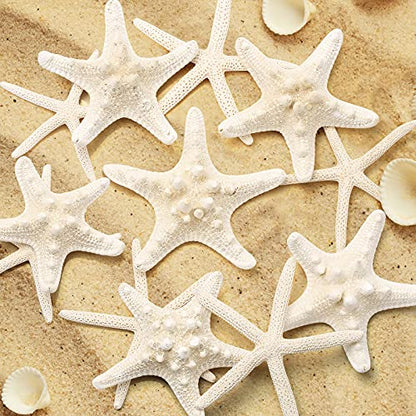 12 PCS Starfish | 2.5-6 Inch Starfish Decor | Natural Bulk Starfish Shells Perfect for Crafts Making Beach Theme Party Wedding Decoration, Home Wall Decor, Christmas Ornaments, Fish Tank