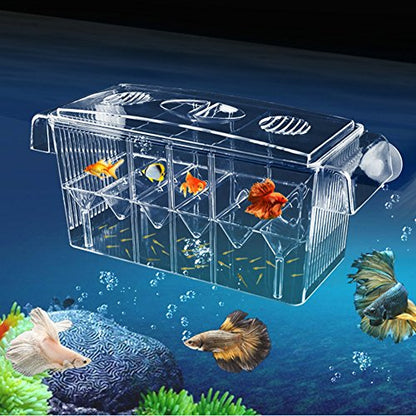 Large Multi-Chamber Holding & Breeding Box for Aquariums - Fish Hatchery with 3 Compartments, Floating Design, Clear Acrylic, Easy to Install - Ideal for Newborn Fry, Sick Fish, and Acclimation