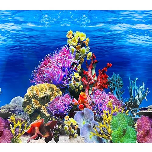 XCNO Aquarium Background Poster Fish Tank Wallpaper, Double-Sided, 12"x 25" | Non-Adhesive Reusable, 3D Sea Anemone Aquatic Plant Picture, Fits 5 Gallon 10 Gallon 20 Gallon Fish Tank Aquarium Decorations - color: Coral Reef, size: 11.6" x 25" In
