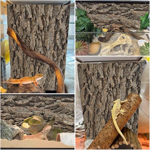 PINVNBY Natural Cork Bark Terrarium Background,15.74x11.81 Inches Reptile Tank Backdrop 3D Bearded Dragon Tank Climbing Wall Habitat Decor for Gecko Lizard Tortoise Frog Chameleon(1 PCS) - size: 【1 PCS】