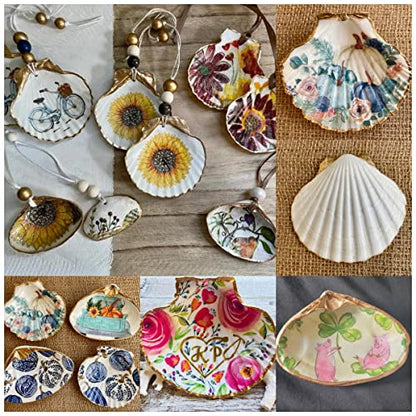 SEAJIAYI 10 PCS Large Scallop Shells 4-5 inch Natural White Scallop Shells from Sea Beach for DIY Craft Decor - size: XL-LARGE