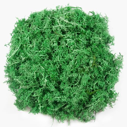 3.5oz Fake Green Moss for Crafts | Realistic Artificial Reindeer Moss for Art, Floral Project, Table Centerpieces, Fairy Garden Accessories, Wall Decor - color: Green