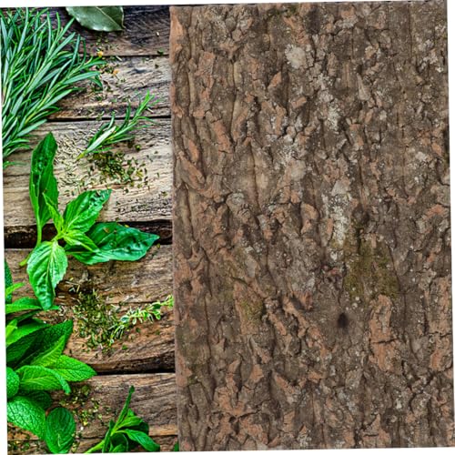 Abaodam Cork Bark Reptile Background for Terrarium Decor Natural Habitat Mat for Gecko Tank Climbing Surface Enhances Visual Depth and Water Quality Safety