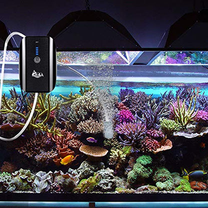 AQQA Aquarium Air Pump, Battery Rechargeable Portable Bubbles Oxygen Pump for Fresh & Saltwater Aquariums Tanks with Air Stone, Tube, USB Cable and Adapter (1.7 W for 1-100Gal Tank) - size: 1.7 W for 1-100Gal tank