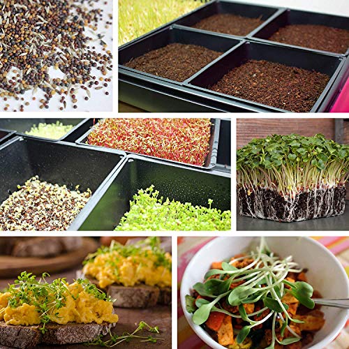 Handy Pantry 10" x 10" Garden Growing Trays with Drain Holes - 5-Pack | Recyclable Plastic Plant Trays for Wheatgrass, Microgreens, Hydroponic Growing, Nursery Flats, Greenhouse Supplies
