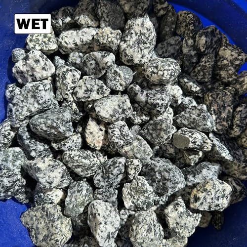 11 Pounds of Big Dalmatian Granite Stones 1" to 2" Size, Rocks Gravel Pebbles for Landscaping, Terrariums, Aquariums, Gardens, Pond Water Features, Flower Pots, Decorative Walkways, Bonsai, etc