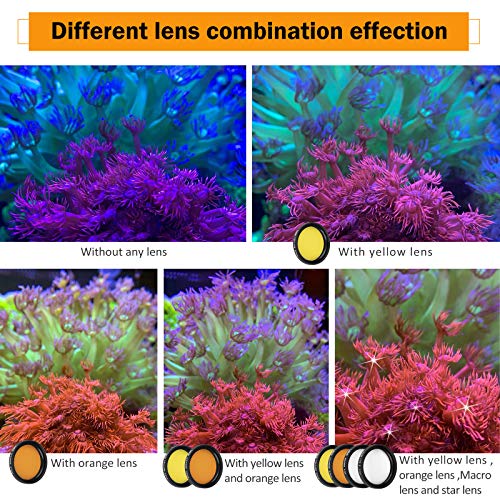 Reef Coral Lens Phone Kits 5 Lenses Kit 1 Dust Shield Case