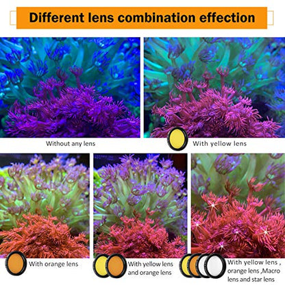 Reef Coral Lens Phone Kits 5 Lenses Kit 1 Dust Shield Case