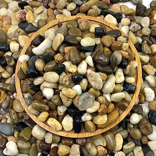 FANTIAN Aquarium Gravel, 2 lbs River Rock for Fish Tank, 2/5 Inch Pebbles | Fish Tank Gravel, Decorative Pebbles for Indoor Plants, Succulent, Drainage, Vase, Water Fountain, Outdoor Garden Landscaping - size: 2/5 Inch
