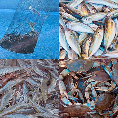 Fishing Bait Trap,2 Packs Crab Trap Minnow Trap Crawfish Trap Lobster Shrimp Collapsible Cast Net Fishing Nets Portable Folded Fishing Accessories,12.6X20.1inches