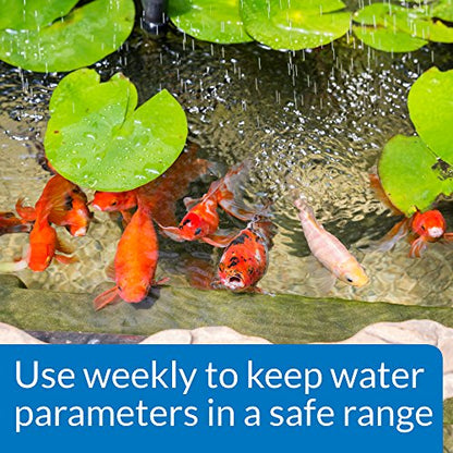 API POND WIDE RANGE pH TEST KIT 160-Test Pond Water Test Kit - style: pH Test Kit