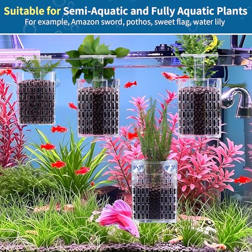 Newly Upgraded Aquarium Plant Holder | Adjustable in Height and Width, with Extendable Hook and Suction Cup, 4-Pack for Aquatic Plants and Aquariums(Transparent) - color: Transparent