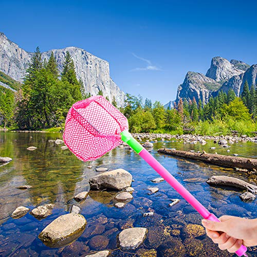 4 Pieces Fishing Net Catching Bug Fish Butterfly Nets Beach Toys for Kids Outdoor Playing (Green, Rose Red) - color: Green, Rose Red