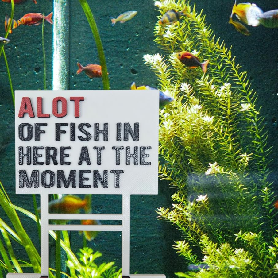 Aquarium Decor Alot of Fish in Here at the Moment Betta Decoration Fish Tank Aquarium Gift