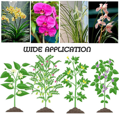 50 Pcs Plant Clips, Orchid Clips Plant Orchid Support Clips Flower and Vine Clips for Supporting Stems Vines Grow Upright for Supporting Stems Vine Stalks Grow